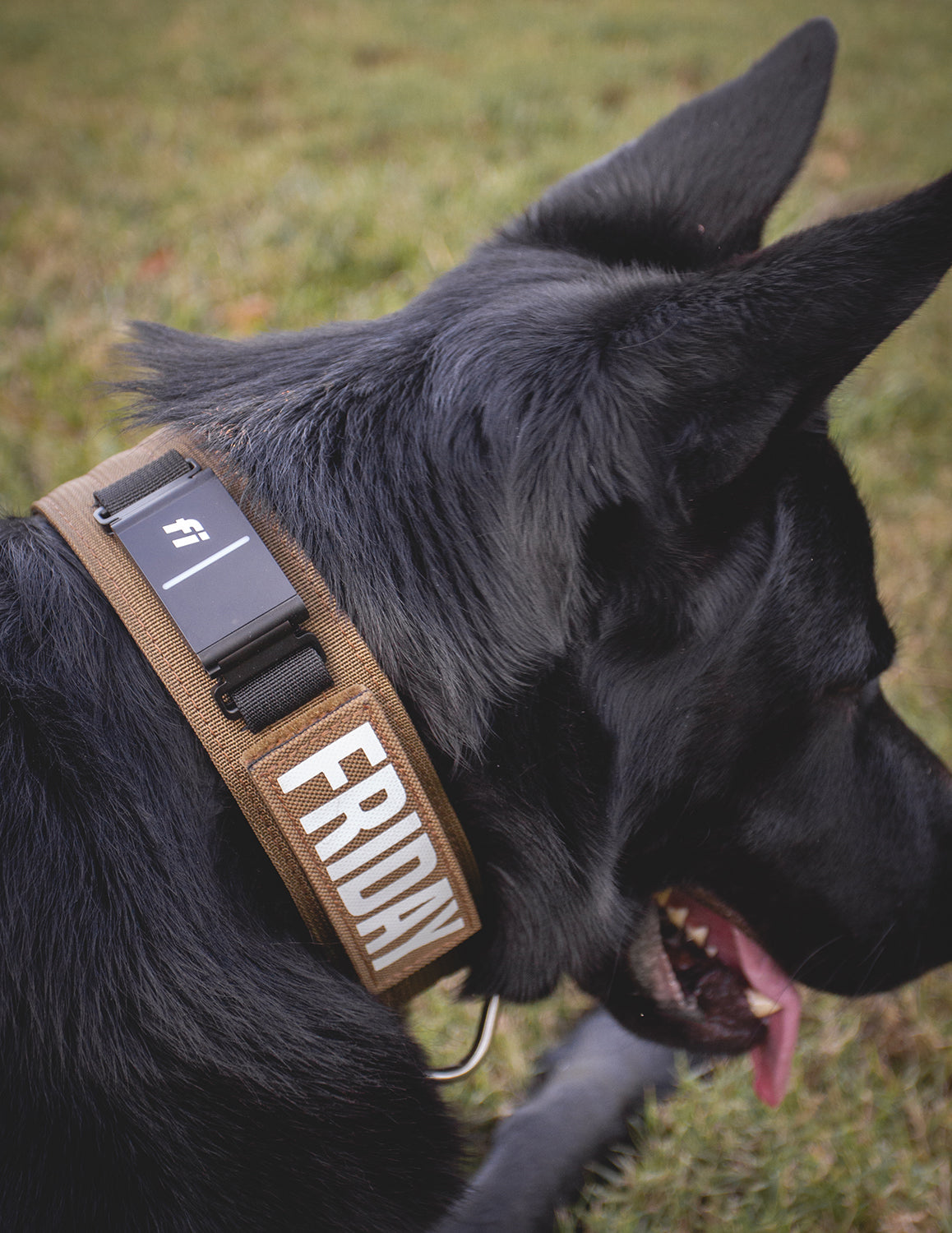 Fi Series 3/3+ | 2" Landshark Pro Collar