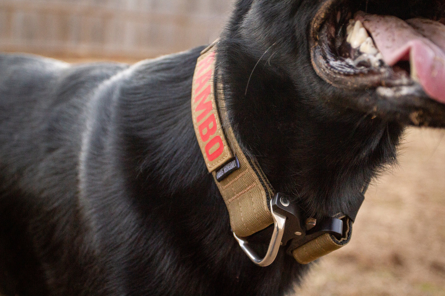 2" Landshark Grip Pro Collar