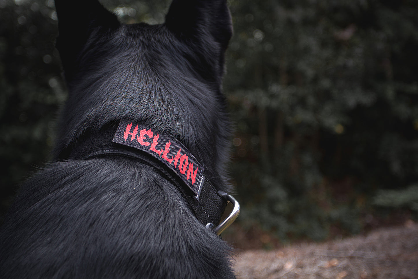 Custom Collar Patch