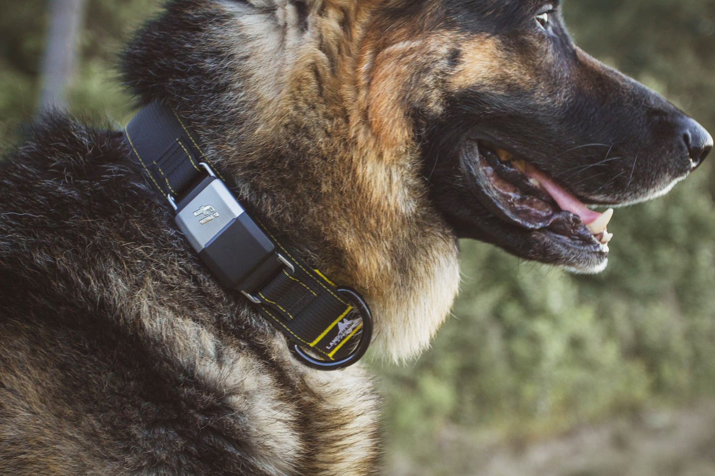 Fi Series 1 & 2 | Landshark Sport Collar - 1.5"