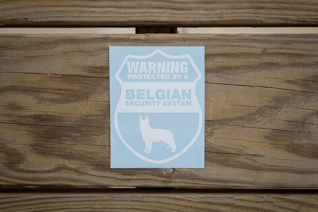"Security" Decal