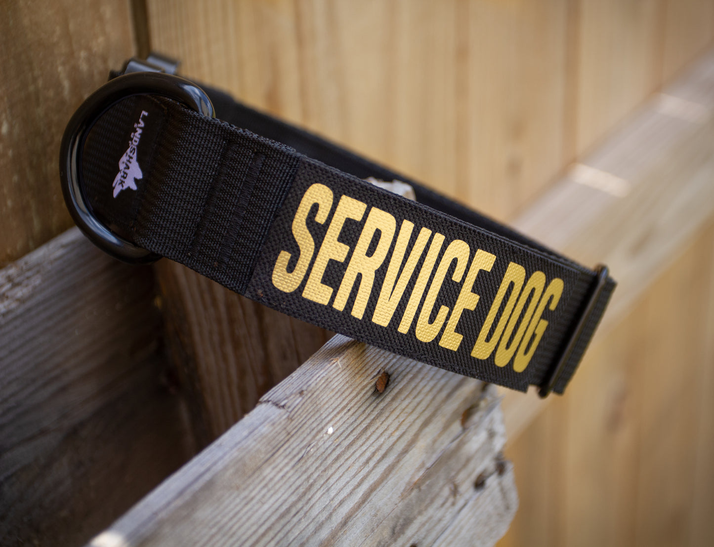 Custom Collar Patch