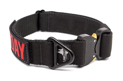 1.5" Landshark Sport Collar