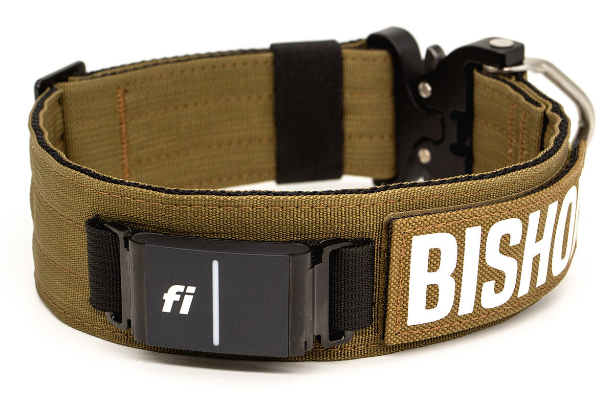 Fi Series 3/3+ | 2" Landshark Pro Collar