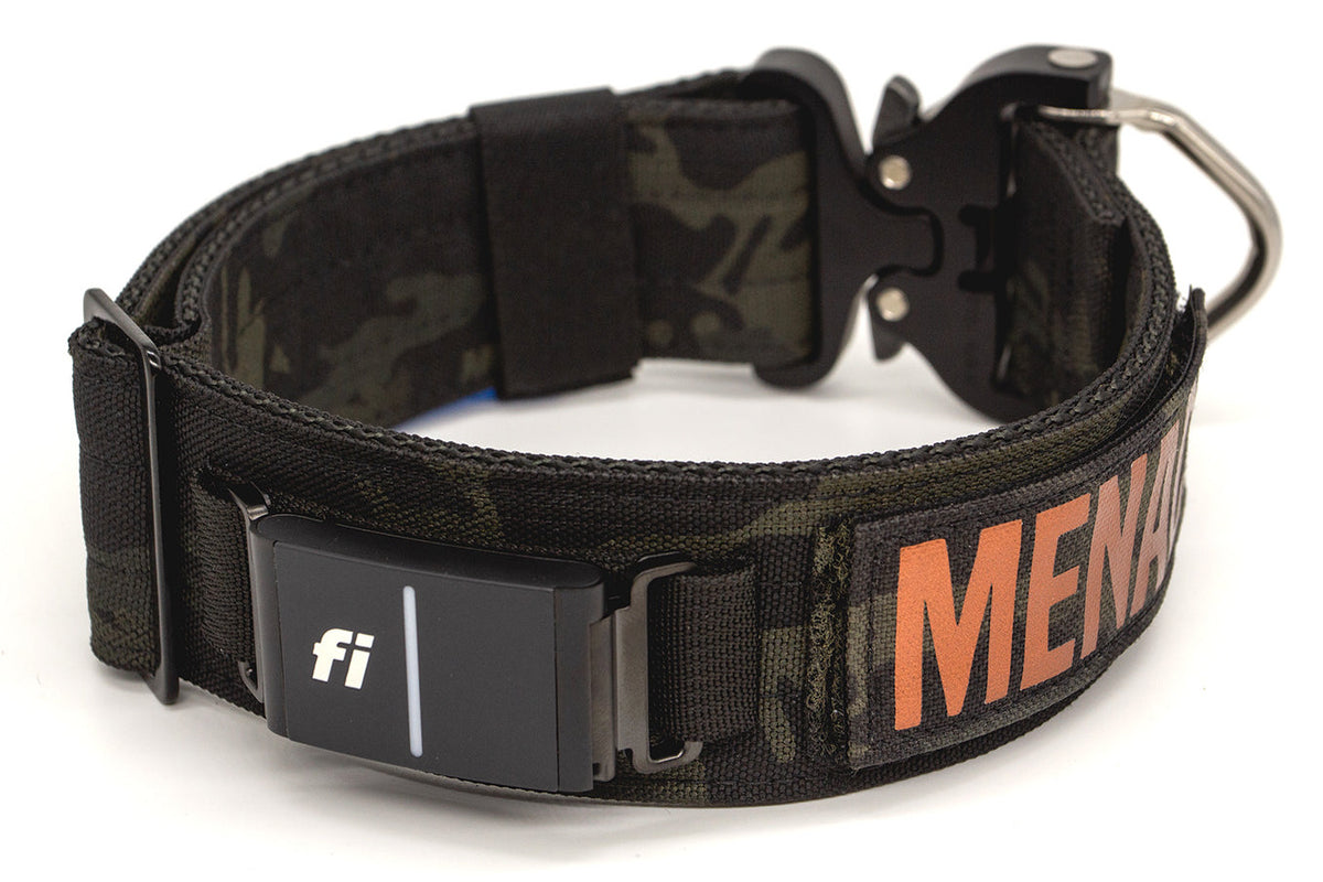 Fi Series 3/3+ | 2" Landshark Pro Collar