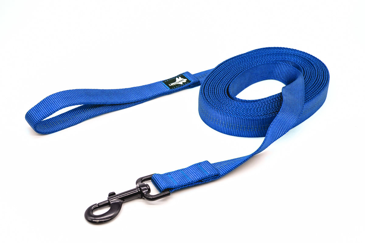 A blue extra long dog leash with a black latch, curled up on a white background.
