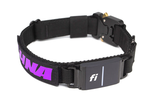 Black Fi-Compatible dog collar with a personalized velcro patch and Cobra buckle on a white background