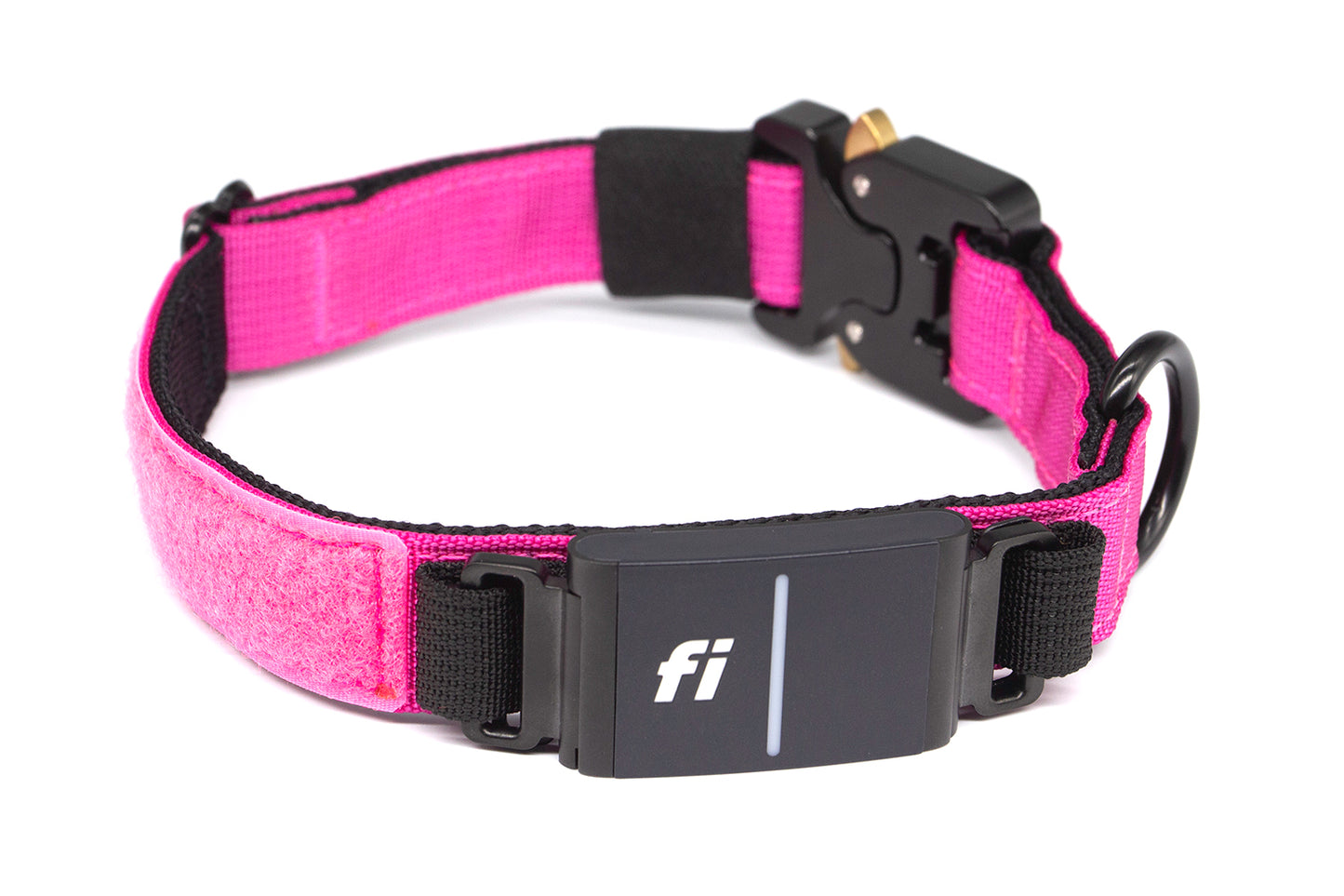 Fi Series 3/3+ | Landshark Sport 1" Collar
