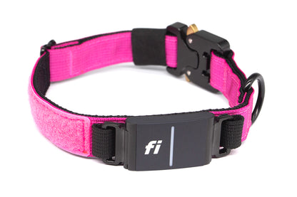 Fi Series 3/3+ | Landshark Sport 1" Collar