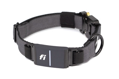 Fi Series 3/3+ | Landshark Sport 1" Collar
