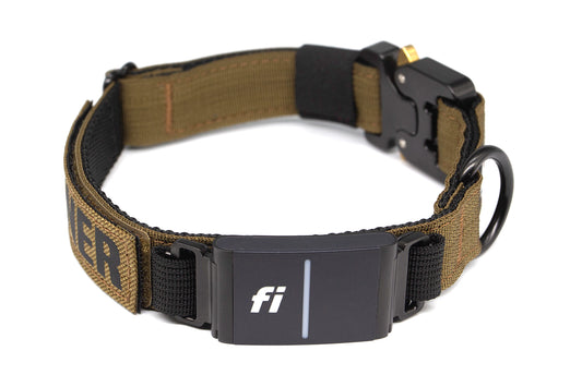 Fi Series 3/3+ | Landshark Sport 1" Collar