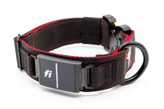 Fi Series 3 - Landshark Sport 1.5" Collar