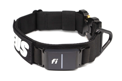 Fi Series 3/3+ | Landshark Sport 1.5" Collar
