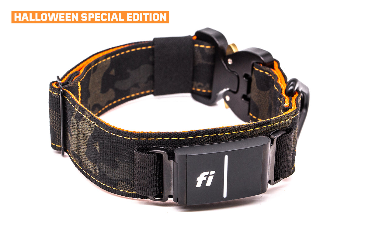 Fi Series 3/3+ | Landshark Sport 1.5" Collar