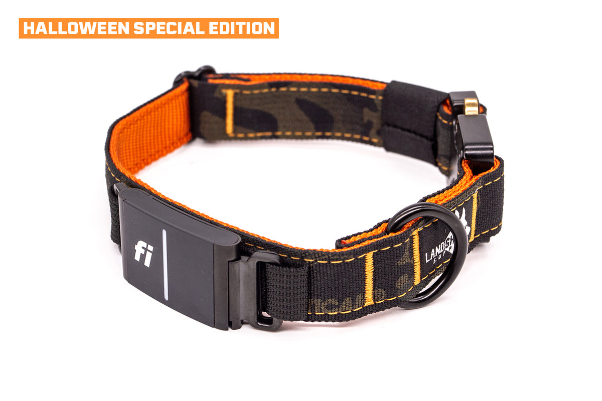 Fi Series 3/3+ | Landshark Sport 1" Collar
