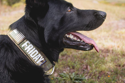 Custom Collar Patch