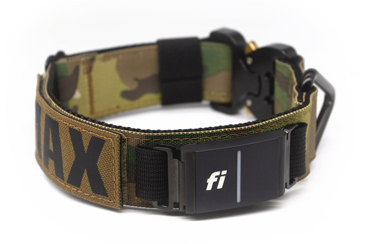Fi Series 3/3+ | Landshark Sport 1.5" Collar