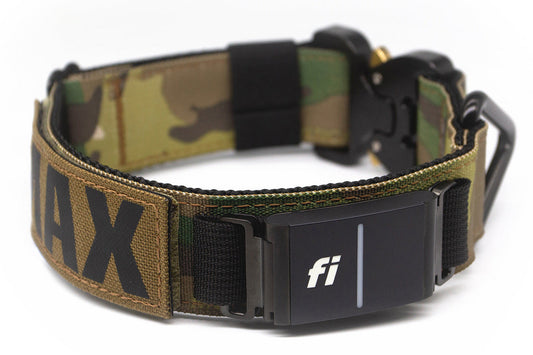 Fi Series 3/3+ | Landshark Sport 1.5" Collar