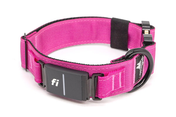 【HI FI FNK】Logan Collar Blouosn Fi Series 3 Collar (Brass) – High Tail Hikes