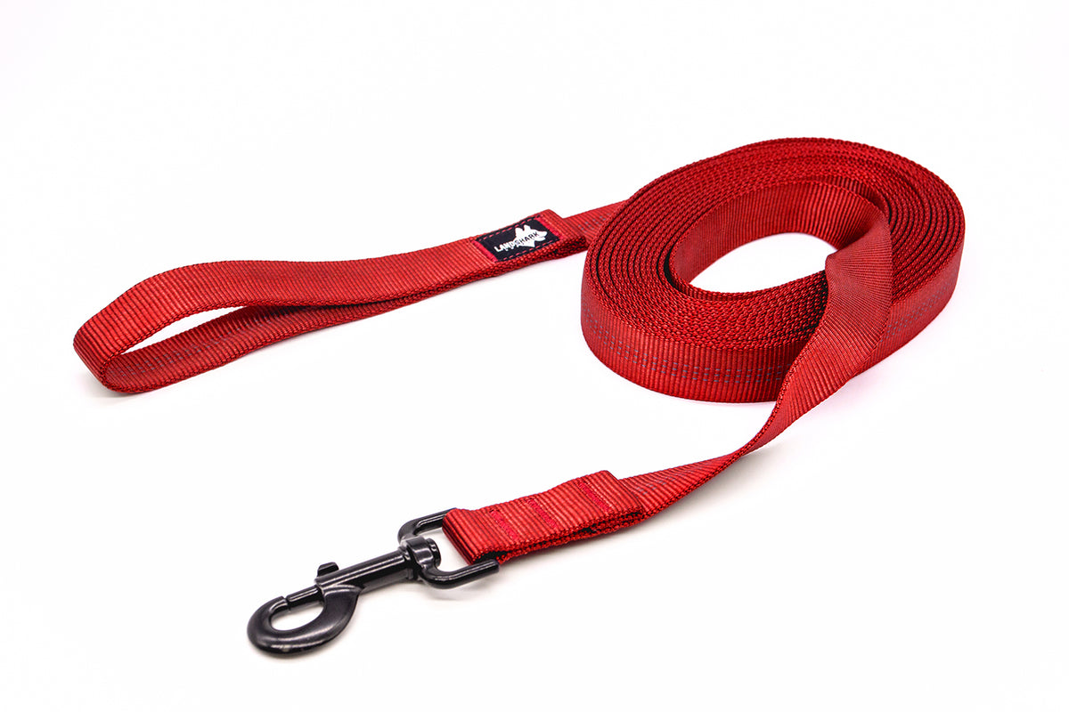 A red extra long dog leash with a black latch, curled up on a white background.