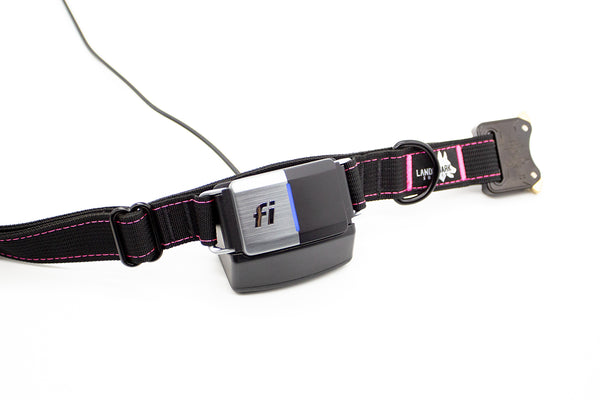 Fi Series 1 & 2 - Landshark Sport Collar - 1"