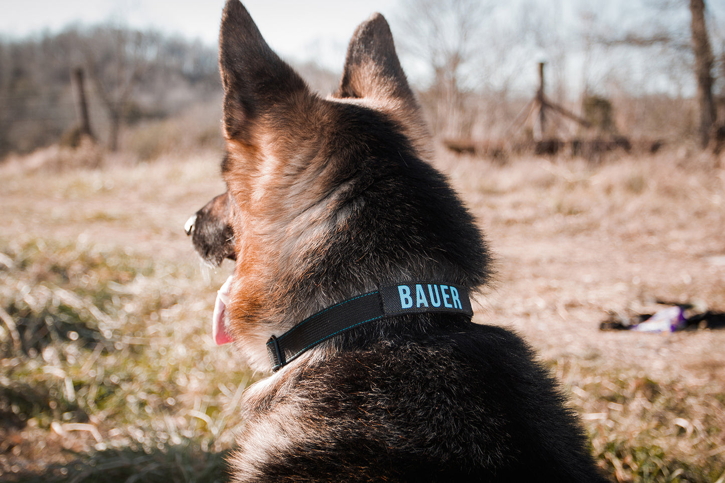 Custom Collar Patch