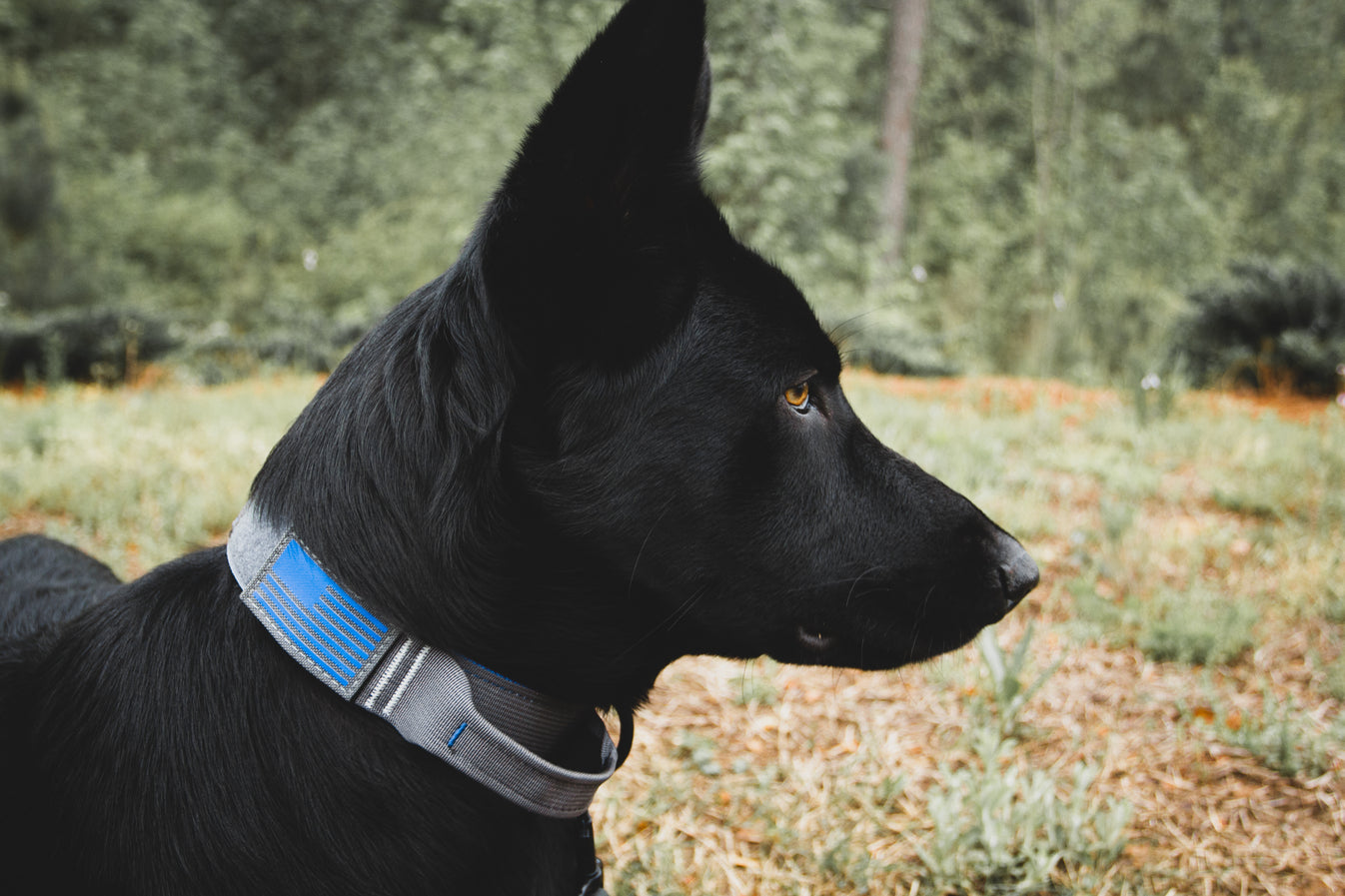 American Flag Patch Landshark Supply