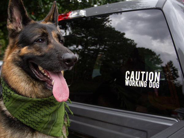 "Working Dog" Decal